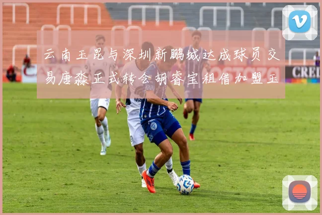 云南玉昆与深圳新鹏城达成球员交易唐淼正式转会胡睿宝租借加盟玉昆